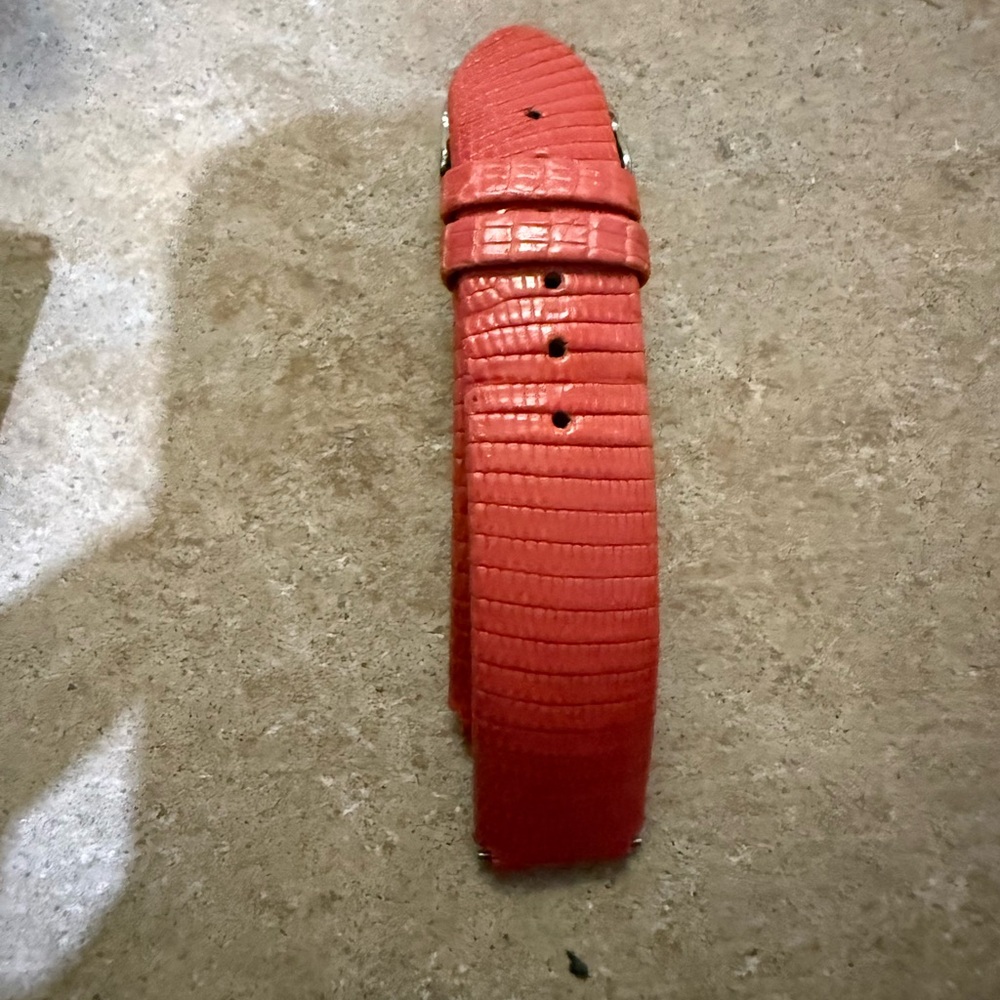 Phillip Stein Assorted Watch Bands in Various Colors - Picture 4 of 5